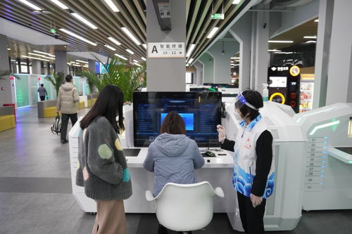 蓝皮书 地方政府互联网服务能力向好发展，弥合数字鸿沟是关键